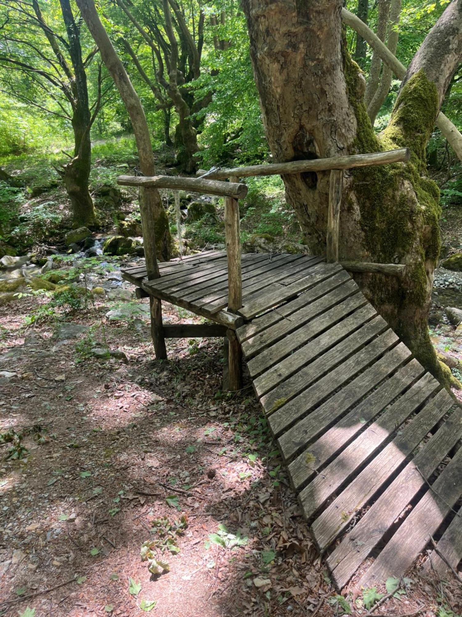 Elatovillage Elatochori Zewnętrze zdjęcie