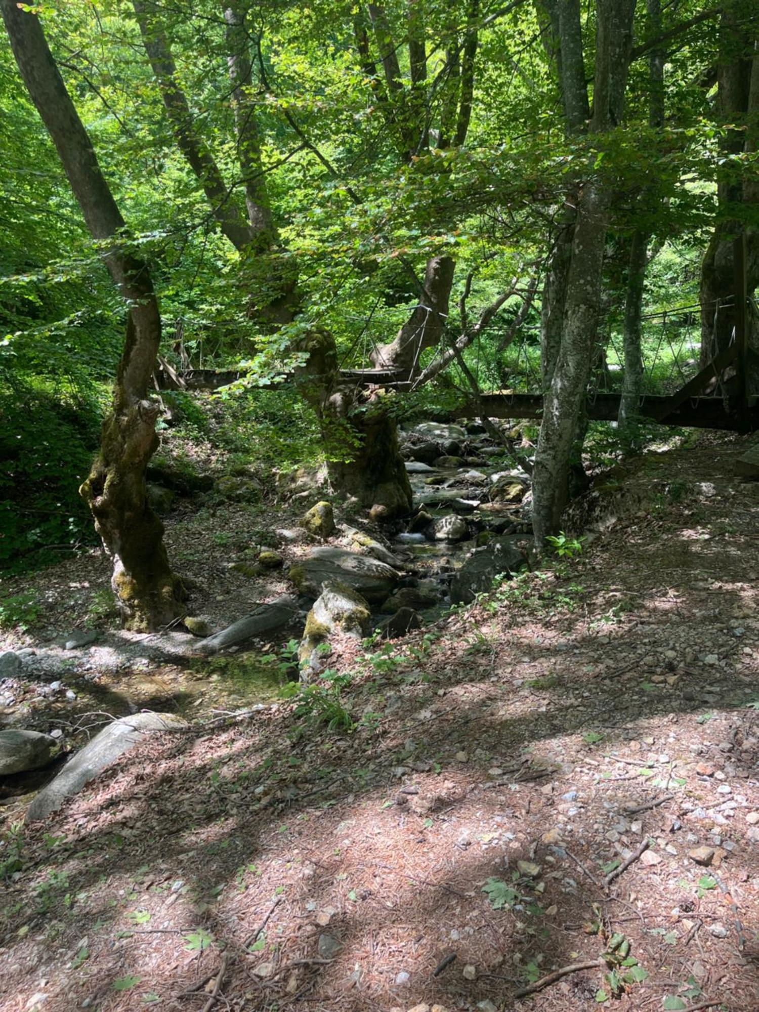 Elatovillage Elatochori Zewnętrze zdjęcie